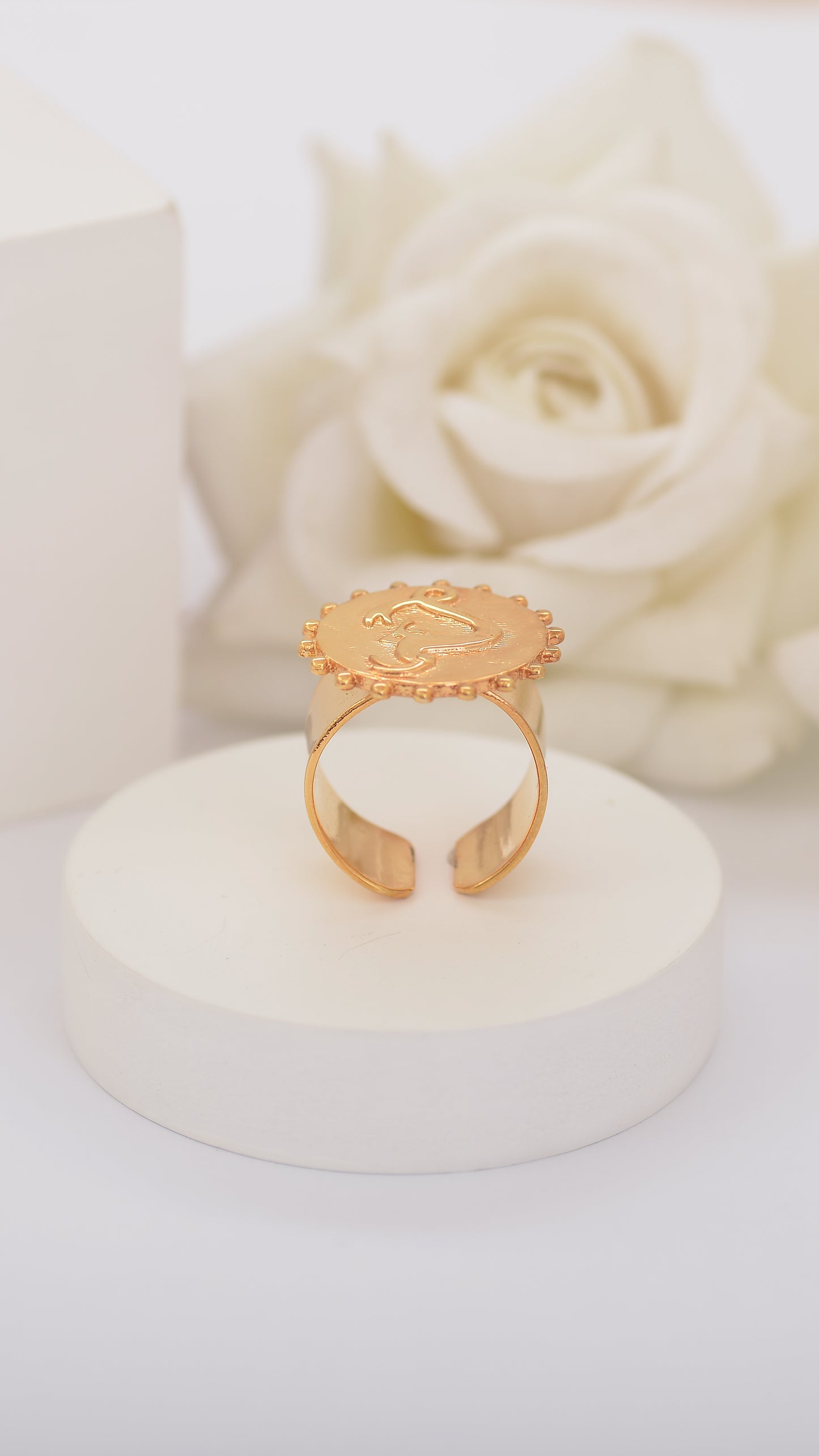 Capricorn (Dec 22nd - Jan 19th)