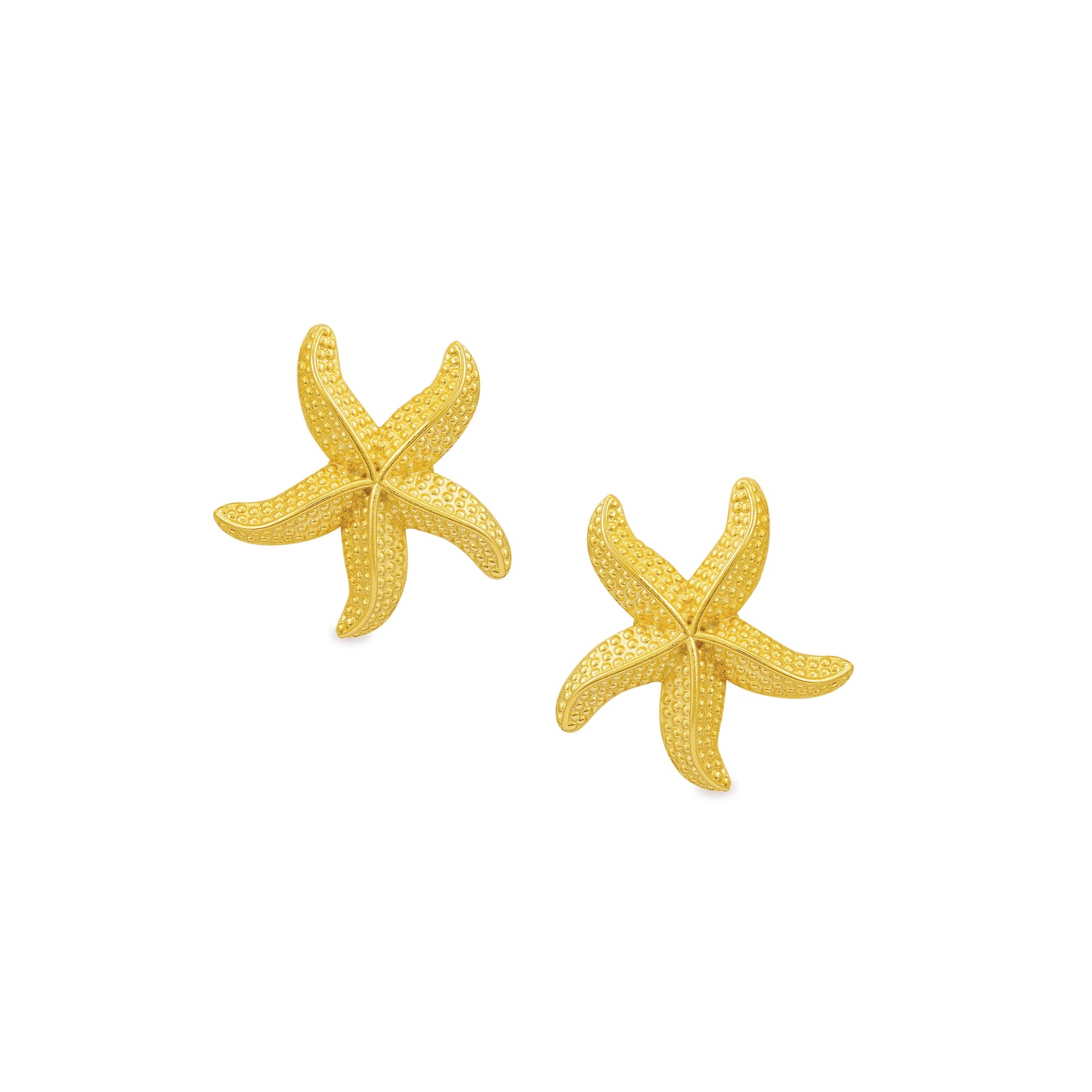 Starfish Earrings