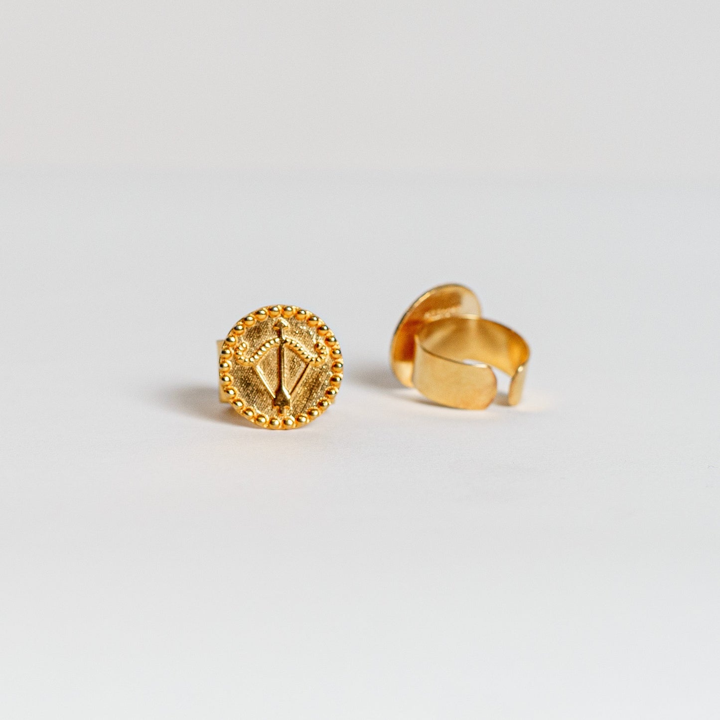 Sagittarius (Nov 22nd - Jan 19th)