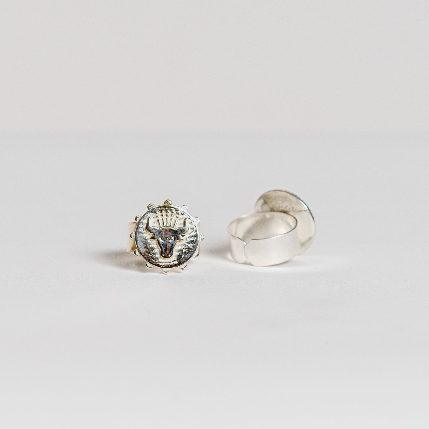 Taurus (Apr 20th - May 20th)